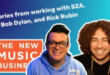 Dana Nielsen on the New Music Business Podcast